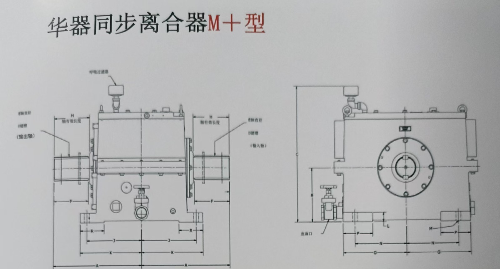 微信图片_2025-03-05_170249_924.jpg